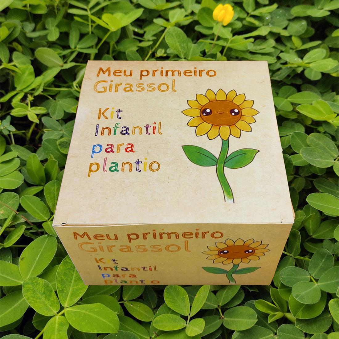 Kit Plantio Meu Primeiro Girassol